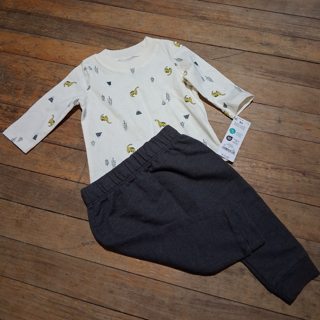 Baby Two-Piece Dino Print Top & Charcoal Pants Set